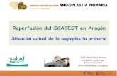 La ACTP Primaria en Aragón - Dr. José Ramón Ruiz Arroyo