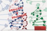 Mitosis y meiosis presentacion