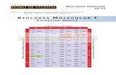 PDV: Biologia mencion Guía N°33 [4° Medio] (2012)