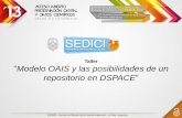 Taller: Modelo OAIS y las posibilidades de un repositorio en DSpace