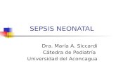 Sepsis neonatal 2012 (3)