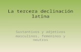 La tercera declinación latina
