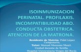 Isoinmunizacion perinatal. profilaxis. incompatibilidad abo. conducta obstetrica. atencion de la matrona