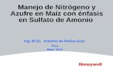 Manejo de Nitrógeno y Azufre en Maíz con énfasis en Sulfato de Amonio