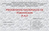Programas nacionales de formacion ( grupo 8)