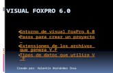Visual fox pro 6.0