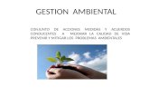 Conceptos de gestion ambiental 2011