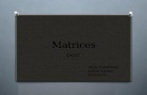 Matrices (1)