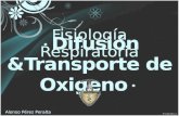 Transporte y Difusión de Oxígeno - Fisiología Respiratoria