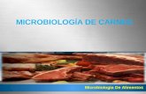 Microbiología de carnes