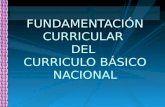 Presentación fundamentación curricular del curriculo básico nacional