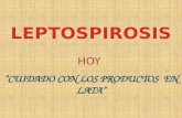 Presentacion Leptospirosis