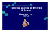 Técnicas básicas de biologia molecular