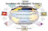 Servicios de internet Telnet y Gopher