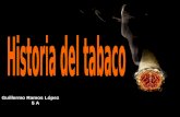 Historia del tabaco