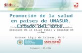 Promoción de la Salud en países de UNASUR. Estado del Arte.