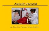 AtencióN Prenatal