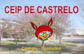 Presentacion de Castrelo