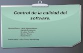 Control De La Calidad Del Software