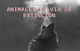 Animales en via de extincion.