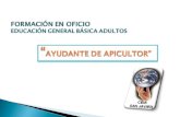 Oficio "AYudante de Apicultor".