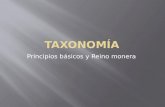 Taxonomia basica y reino monera