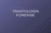 Tanatologia Forence