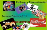 Cultura y comunicacion practico 4