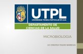 Clasificacion de microorganismos (1)