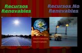 Recursos renovables y recursos no renovables