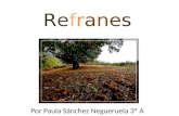Refranes 2
