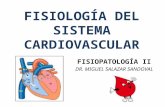 Fisiopatologia ii   sal sistema cardiovascular