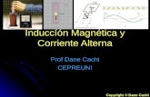 Induccion Magnetica