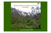 Biodiversidad en las plantaciones de eucalipto