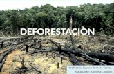 Deforestaciòn . juli silva