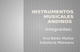 Instrumentos musicales andinos