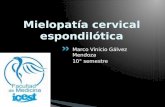 Mielopatía cervical espondilótica