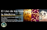 Insectos En La Medicina 2009