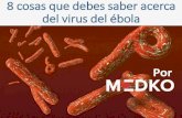 8 cosas que debes saber acercadel virus del ébola