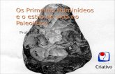 Os primeiros hominídeos e o estilo de vida no Paleolítico.