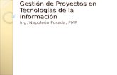 Gestión de proyectos en ti 2010 11-20