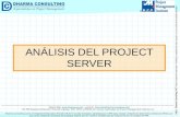 Tips para MS Project 2003: Análisis del Project Server