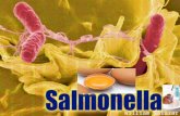Salmonellosis y brucellosis