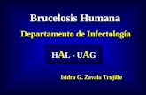 Brucelosis saltillo-05