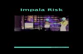 Impala Risk Brochure