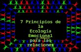 7 Principios de la Ecología Emcional