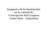 Inundaciones Entre Rios Concepcion Del Uruguay