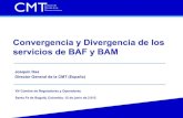 Joaquín Osa, Convergencia y Divergencia de los servicios de BAF y BAM