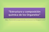 Estructura y composición química de los Organelos