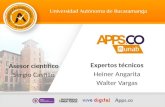 Asesoría técnica - APPS.CO
